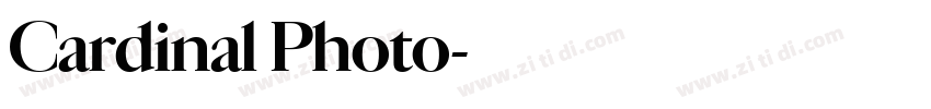 Cardinal Photo字体转换 Cardinal Photo字体转换